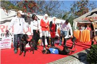 0050_Czech_Derby_525m_Czech_Greyhound_Racing_Federation_IMG_0345.JPG