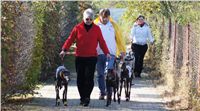 0051_Czech_Derby_525m_Czech_Greyhound_Racing_Federation_DSC02428.JPG