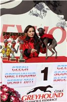0012_Czech_Derby_Showrace_Czech_Greyhound_Racing_Federation_IMG_0313.JPG