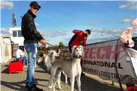 0014_Czech_Derby_Showrace_Czech_Greyhound_Racing_Federation_DSC00196.JPG