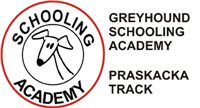 0019_Czech_Derby_Showrace_Czech_Greyhound_Racing_Federation_IMG_Greyhound_Schooling_Academy.jpg