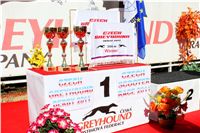 0030_Czech_Derby_Showrace_Czech_Greyhound_Racing_Federation_IMG_IMG_0215.JPG