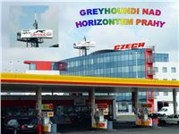 Greyhoundi_nad_Prahou_Czech_Greyhound_Racing_Federation.jpg Greyhoundi_nad_Prahou_Czech_Greyhound_Racing_Federation.jpg