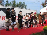 Soutez_Nejkrasnejsi_dama_s_chrtem_Czech_Greyhound_Racing_Federation_2005_IMG_4319_1.jpg