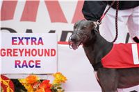 Extra_Greyhound_Race_2011_Ceska_Greyhound_Dostihova_Federace_DSC03016.jpg