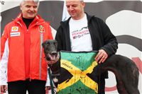 Extra_Greyhound_Race_2011_Ceska_Greyhound_Dostihova_Federace_IMG_0735.JPG