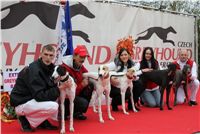 Australian_pups_Czech_Greyhound_Racing_Federation_IMG_0823.JPG