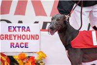 Extra_Greyhound_Race_2011_Ceska_Greyhound_Dostihova_Federace_DSC03016.JPG