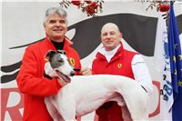 Extra_Greyhound_Race_2011_Ceska_Greyhound_Dostihova_Federace_IMG_0799.JPG