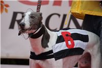 Extra_Greyhound_Race_3_Czech_Greyhound_Racing_Federation_DSC03011.JPG