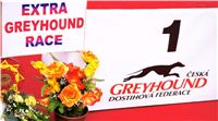 001_Chrti_dostihy_Extra_Greyhound_Race_2011_Czech_Greyhound_Racing_Federation_DSC03057.jpg