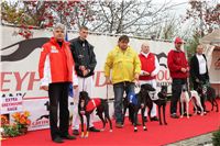 002_Chrti_dostihy_Extra_Greyhound_Race_2011_Czech_Greyhound_Racing_Federation_IMG_0692.JPG