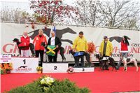 009_Chrti_dostihy_Extra_Greyhound_Race_2011_Czech_Greyhound_Racing_Federation_IMG_0731.JPG