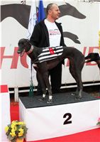 012_Chrti_dostihy_Extra_Greyhound_Race_2011_Czech_Greyhound_Racing_Federation_IMG_0712.JPG