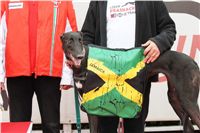 015_Chrti_dostihy_Extra_Greyhound_Race_2011_Czech_Greyhound_Racing_Federation_IMG_0734.JPG