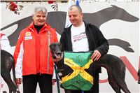 016_Chrti_dostihy_Extra_Greyhound_Race_2011_Czech_Greyhound_Racing_Federation_IMG_0735.JPG