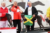 017_Chrti_dostihy_Extra_Greyhound_Race_2011_Czech_Greyhound_Racing_Federation_IMG_0739.JPG