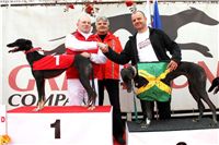 018_Chrti_dostihy_Extra_Greyhound_Race_2011_Czech_Greyhound_Racing_Federation_IMG_0745.jpg