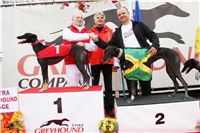 019_Chrti_dostihy_Extra_Greyhound_Race_2011_Czech_Greyhound_Racing_Federation_IMG_0746.JPG