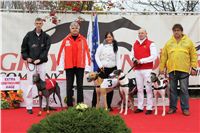022_Chrti_dostihy_Extra_Greyhound_Race_2011_Czech_Greyhound_Racing_Federation_IMG_0770.JPG