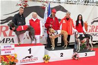 024_Chrti_dostihy_Extra_Greyhound_Race_2011_Czech_Greyhound_Racing_Federation_IMG_0784.JPG
