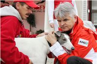025_Chrti_dostihy_Extra_Greyhound_Race_2011_Czech_Greyhound_Racing_Federation_IMG_0787.JPG