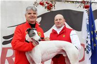 028_Chrti_dostihy_Extra_Greyhound_Race_2011_Czech_Greyhound_Racing_Federation_IMG_0799.jpg