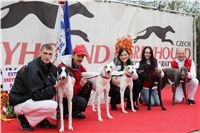 031_Chrti_dostihy_Extra_Greyhound_Race_2011_Czech_Greyhound_Racing_Federation_IMG_0825.jpg