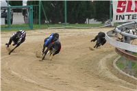 008_Chrtí_dostihy_Extra_Greyhound_Race_2011_Czech_Greyhound_Racing_Federation_IMG_0698.JPG