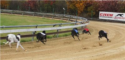 018_Chrtí_dostihy_Extra_Greyhound_Race_2011_Czech_Greyhound_Racing_Federation_IMG_0708.JPG