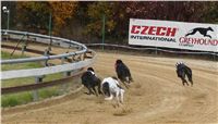 020_Chrtí_dostihy_Extra_Greyhound_Race_2011_Czech_Greyhound_Racing_Federation_IMG_0710.JPG
