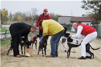 020a_Chrtí_dostihy_Extra_Greyhound_Race_2011_Czech_Greyhound_Racing_Federation_DSC02976.JPG