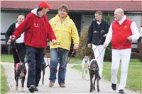 020b_Chrtí_dostihy_Extra_Greyhound_Race_2011_Czech_Greyhound_Racing_Federation_DSC02979.JPG