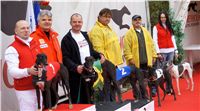033_Chrti_dostihy_Extra_Greyhound_Race_2011_Czech_Greyhound_Racing_Federation_DSC02998.jpg