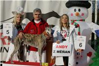 Prvni_Osvobozena_Vystava_Chrtu_v_Cechach_Czech_Greyhound_Racing_Federation_foto2.JPG