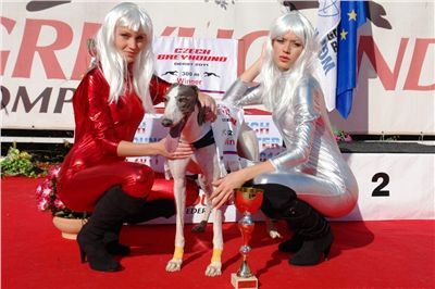 Czech_Derby_Czech_Greyhound_Racing_Federation_DSC00138.JPG