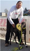 Mikulas_Greyhound_Race_2011_Czech_Greyhound_Racing_Federation_DSC03357.JPG