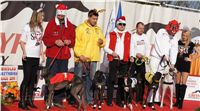 Mikulas_Greyhound_Race_2011_Czech_Greyhound_Racing_Federation_DSC03387.JPG
