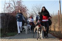 Mikulas_Greyhound_Race_2011_Czech_Greyhound_Racing_Federation_IMG_1098.JPG