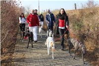 Mikulas_Greyhound_Race_2011_Czech_Greyhound_Racing_Federation_IMG_1102.JPG