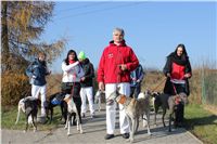 Mikulas_Greyhound_Race_2011_Czech_Greyhound_Racing_Federation_IMG_1106.JPG