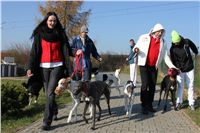 Mikulas_Greyhound_Race_2011_Czech_Greyhound_Racing_Federation_IMG_1115.JPG