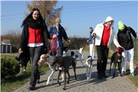 Mikulas_Greyhound_Race_2011_Czech_Greyhound_Racing_Federation_IMG_1115.JPG