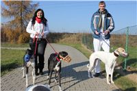 Mikulas_Greyhound_Race_2011_Czech_Greyhound_Racing_Federation_IMG_1117.JPG