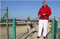 Mikulas_Greyhound_Race_2011_Czech_Greyhound_Racing_Federation_IMG_1122.jpg