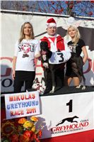 Mikulas_Greyhound_Race_2011_Czech_Greyhound_Racing_Federation_IMG_1237.JPG