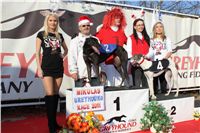 Mikulas_Greyhound_Race_2011_Czech_Greyhound_Racing_Federation_IMG_1320.JPG