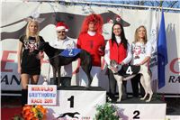 Mikulas_Greyhound_Race_2011_Czech_Greyhound_Racing_Federation_IMG_1324.JPG