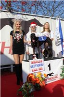 Mikulas_Greyhound_Race_2011_Czech_Greyhound_Racing_Federation_IMG_1336.JPG