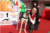 Mikulas_Greyhound_Race_2011_Czech_Greyhound_Racing_Federation_IMG_1347.JPG